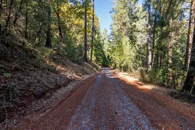 4293 Glory Hole Drive, Camino, CA 95709 - Photo 5