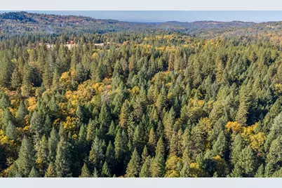 4293 Glory Hole Drive, Camino, CA 95709 - Photo 11