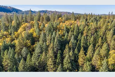 4261 Glory Hole Drive, Camino, CA 95709 - Photo 7