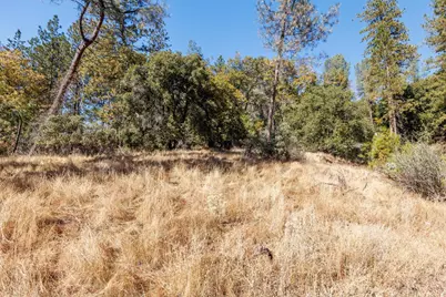 3551 Red Dog Drive, Camino, CA 95709 - Photo 1