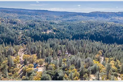 3551 Red Dog Drive, Camino, CA 95709 - Photo 11