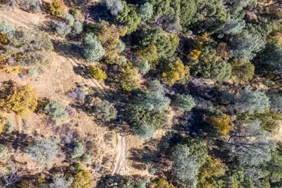 3551 Red Dog Drive, Camino, CA 95709 - Photo 9