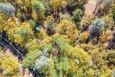 3609 Red Dog Drive, Camino, CA 95709 - Photo 11