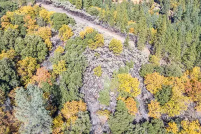 10 Freegold Dr, Camino, CA 95709 - Photo 7