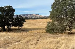 0 Cr 87, Winters, CA 95694 - Photo 5