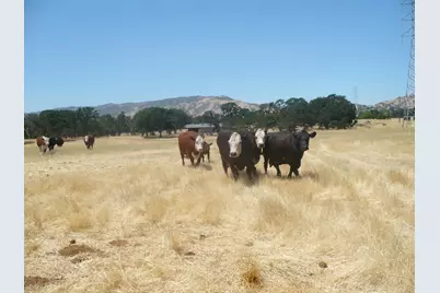 0 Cr 87, Winters, CA 95694 - Photo 3