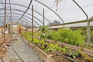 13751 Indio Dr, Sloughhouse, CA 95683 - Photo 51