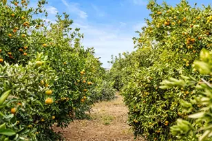 13751 Indio Dr, Sloughhouse, CA 95683 - Photo 55