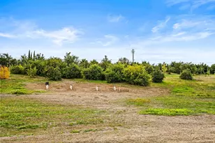 13751 Indio Dr, Sloughhouse, CA 95683 - Photo 63