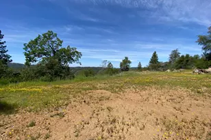 17354 Cloudburst Way, Penn Valley, CA 95946 - Photo 1