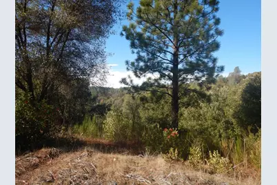 3000 Gravel Court, Placerville, CA 95667 - Photo 9