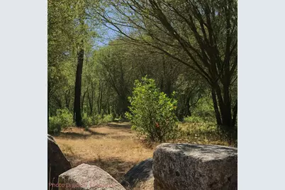 3000 Gravel Court, Placerville, CA 95667 - Photo 7