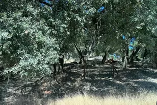 20045 Jesus Maria Rd, Mokelumne Hill, CA 95245 - Photo 11