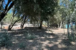 20045 Jesus Maria Rd, Mokelumne Hill, CA 95245 - Photo 13