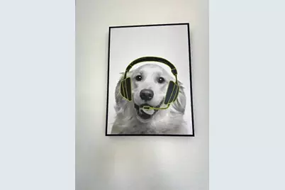 111 Quail Covey Court, Copperopolis, CA 95228 - Photo 33