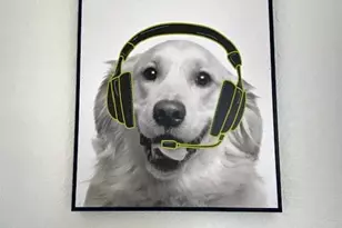 111 Quail Covey Ct, Copperopolis, CA 95228 - Photo 33