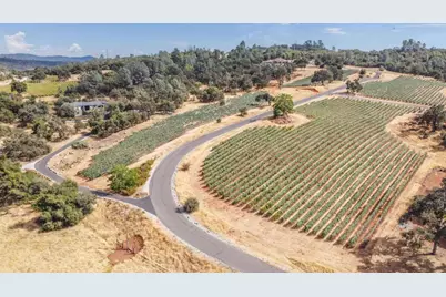 233 Pyshon Road, Vallecito, CA 95251 - Photo 75