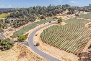 233 Pyshon Rd, Vallecito, CA 95251 - Photo 75