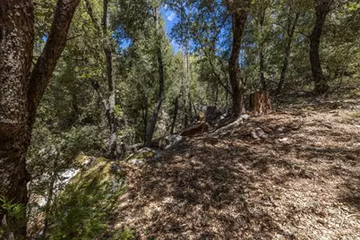 8 N Cedar Vista Circle, Bass Lake, CA 93604 - Photo 33