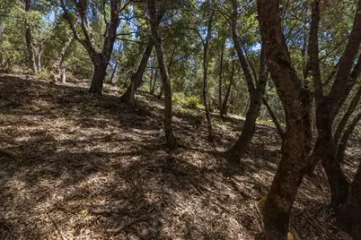 8 N Cedar Vista Circle, Bass Lake, CA 93604 - Photo 35