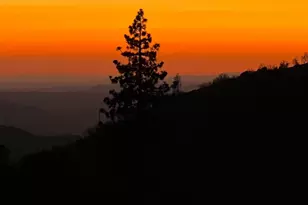 40705 Sunset Vista Ln, Shaver Lake, CA 93664 - Photo 1