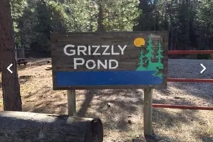 5055 Parkside Dr, Grizzly Flats, CA 95636 - Photo 1