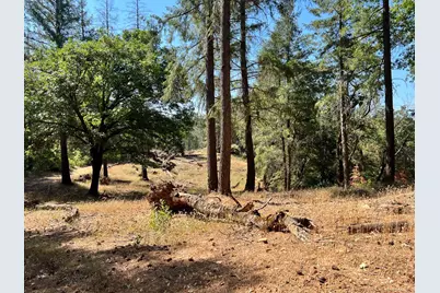 43 Bottle Hill Road, Georgetown, CA 95634 - Photo 3