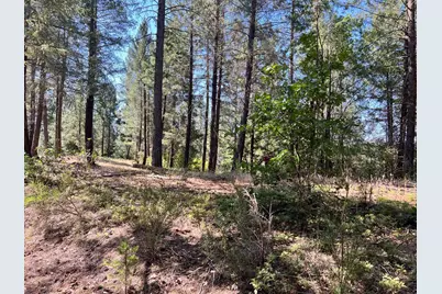 43 Bottle Hill Road, Georgetown, CA 95634 - Photo 1