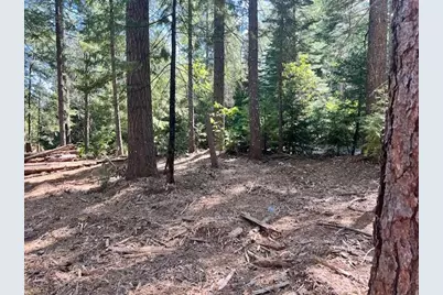 10434 Wentworth Springs Road, Georgetown, CA 95634 - Photo 7