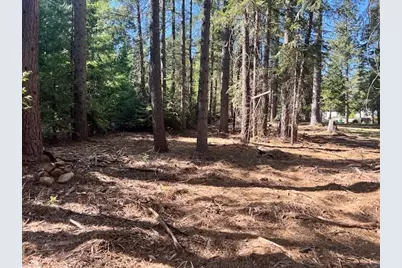 10434 Wentworth Springs Road, Georgetown, CA 95634 - Photo 9