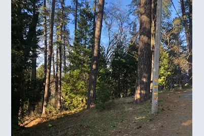 410 W Marshall Street, Grass Valley, CA 95945 - Photo 1