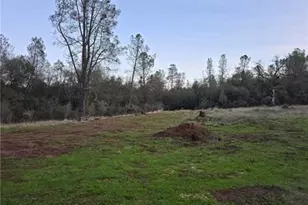 174 Hope Ln, Oroville, CA 95966 - Photo 35