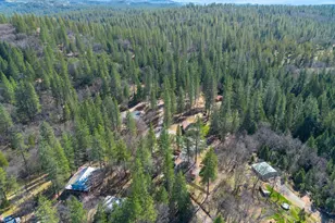 3830 Dogwood Pass Rd, Mokelumne Hill, CA 95245 - Photo 45