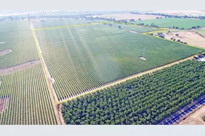 14141 Prouty Road, Galt, CA 95632 - Photo 1