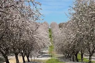 7461 East Ave, Ballico, CA 95303 - Photo 1