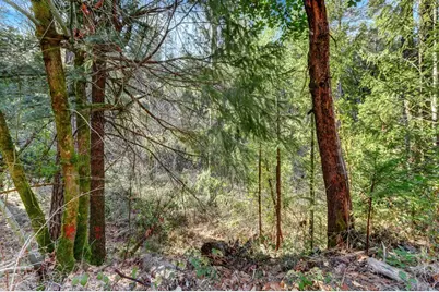 0 Cedar Ridge Drive, Grass Valley, CA 95945 - Photo 13