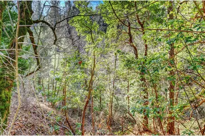 0 Cedar Ridge Drive, Grass Valley, CA 95945 - Photo 31