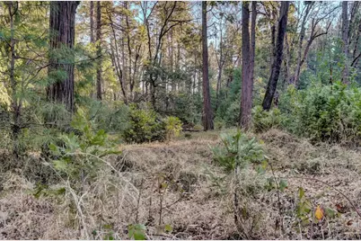 0 Cedar Ridge Drive, Grass Valley, CA 95945 - Photo 39