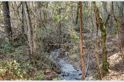 12195 E Bennett Road, Grass Valley, CA 95945 - Photo 1