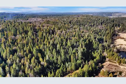 12195 E Bennett Road, Grass Valley, CA 95945 - Photo 15