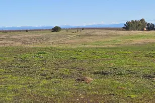 27286 N Mackville Rd, Clements, CA 95227 - Photo 1