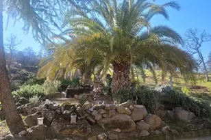 14772 Holman Mountain Rd, Jamestown, CA 95327 - Photo 9