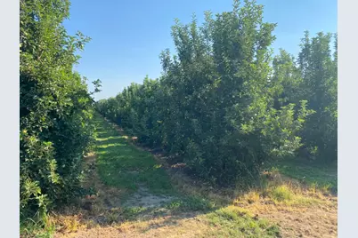 16929 Louise Avenue, Escalon, CA 95320 - Photo 5