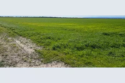 0 County Road 30, Davis, CA 95618 - Photo 3