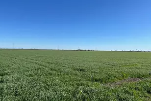 0 County Road 30, Davis, CA 95618 - Photo 5