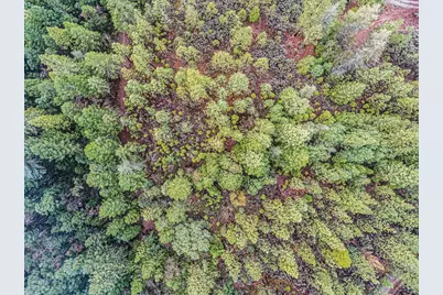 16841 Patterson Mine Road, Nevada City, CA 95959 - Photo 9