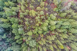 16841 Patterson Mine Rd, Nevada City, CA 95959 - Photo 9