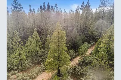 16841 Patterson Mine Road, Nevada City, CA 95959 - Photo 11