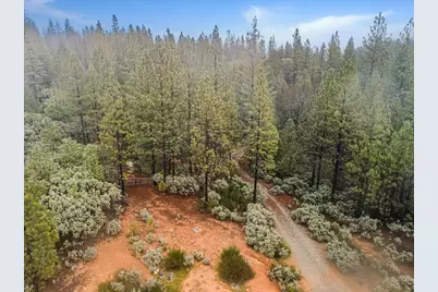 16841 Patterson Mine Road, Nevada City, CA 95959 - Photo 3