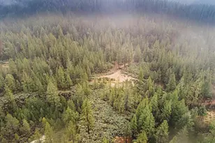 16841 Patterson Mine Rd, Nevada City, CA 95959 - Photo 13